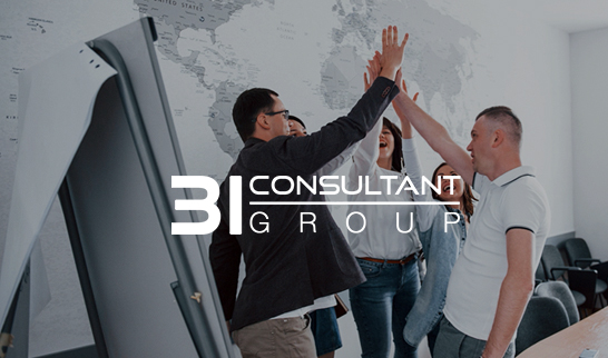 BI Consulting project screenshot