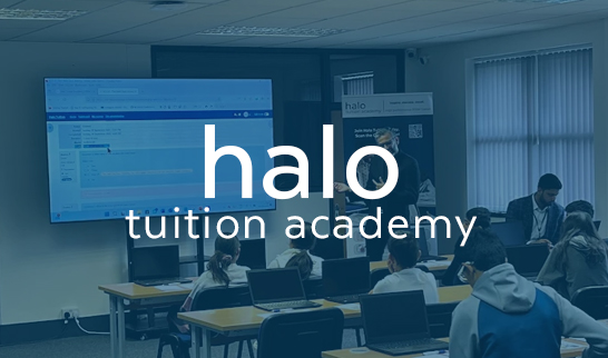 Halo project screenshot