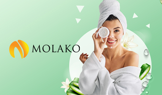 Molako project screenshot